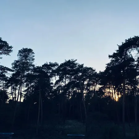 Kleine Pfalz-perle Birkenweg *