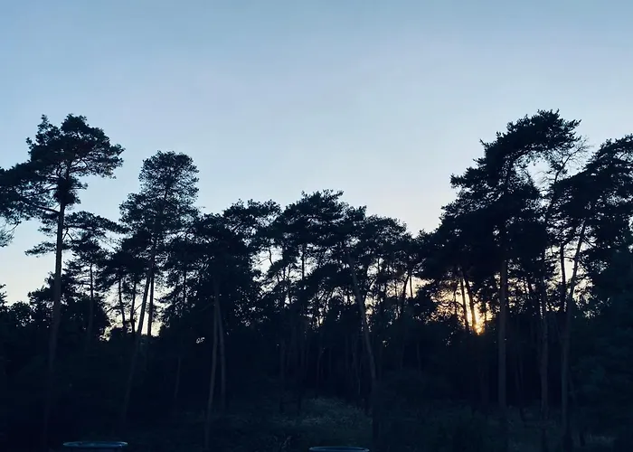 Kleine Pfalz-perle Birkenweg *